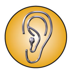 FOR UNIVERSITIES: Gold Circle Music Audiology Master Class